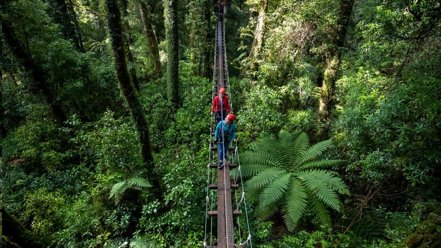 Rotorua: 6 Ziplines, Swing-Bridges & Wildlife Encounters - Why the small group makes a difference