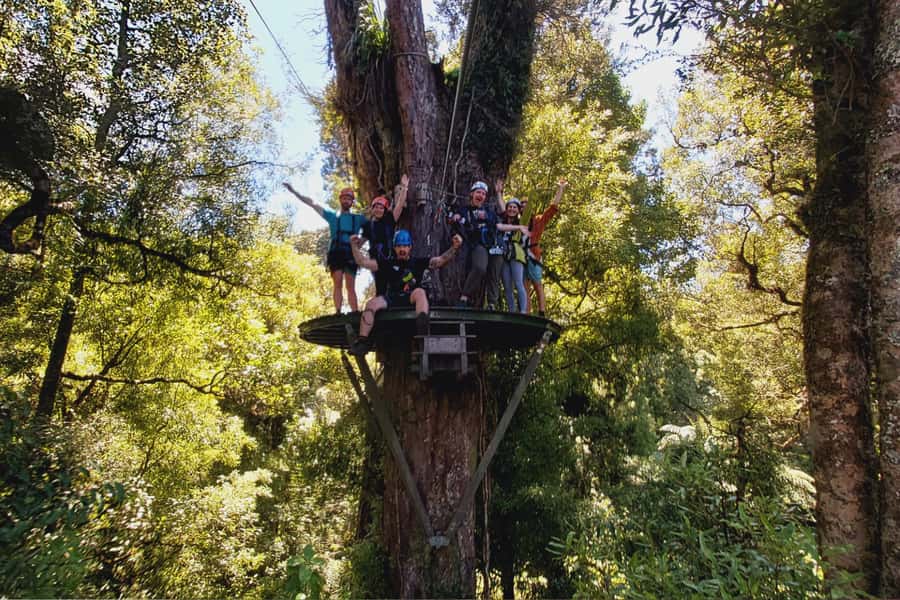 Rotorua: 6 Ziplines, Swing-Bridges & Wildlife Encounters - Weather, clothing, and practical limits