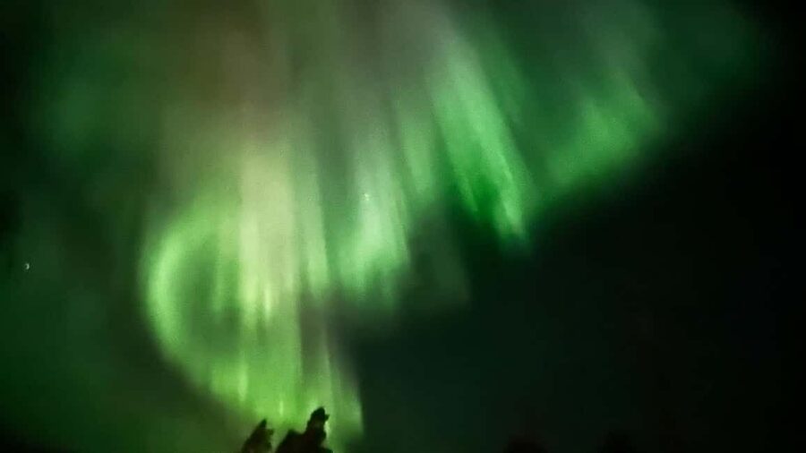 Rovaniemi: All-Inclusive Ranua Zoo Excursion & Aurora Dinner - Why This Full-Day Plan Works