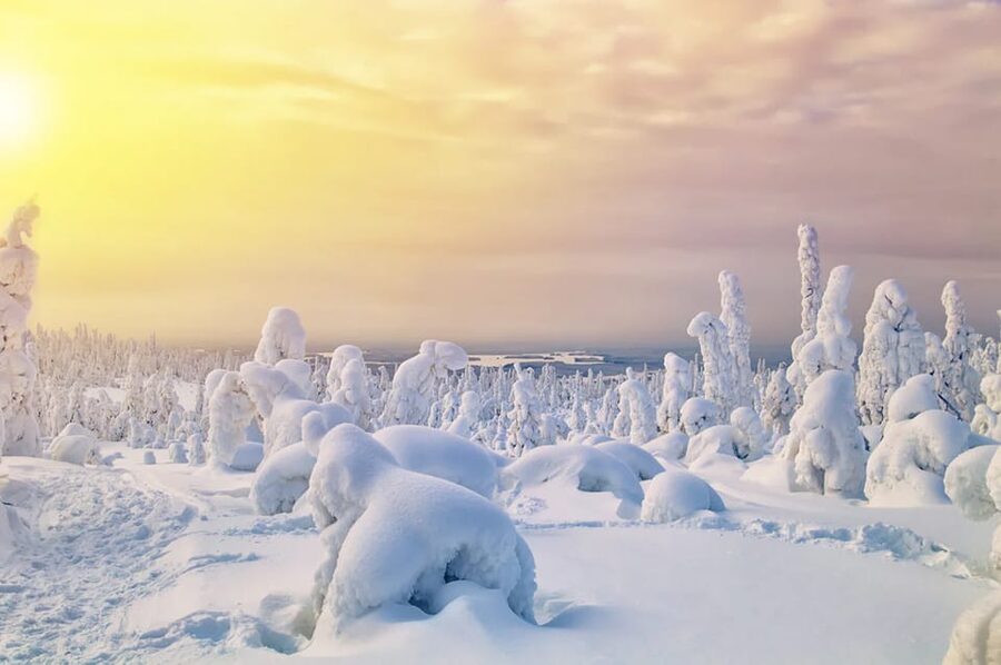 Rovaniemi: Arctic Animals Sleigh Rides and Wildlife Zoo - Why this Rovaniemi day trip works