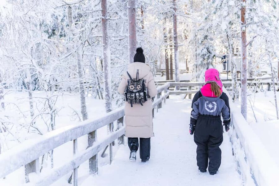 Rovaniemi: Ranua Wildlife Park guided tour with Pro Photos - Local Sweets and Small Shops Near the Park