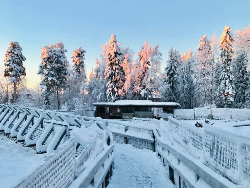 Rovaniemi: Trip to Ranua Zoo with Tickets - Should you book the Ranua Zoo trip?
