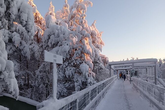 Rovaniemi: Trip to Ranua Zoo with Tickets Included - Is the $120.15 price good value?
