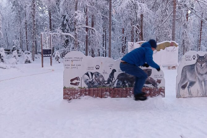 Rovaniemi: Trip to Ranua Zoo with Tickets Included - Pickup from Rovaniemi and the drive to Ranua