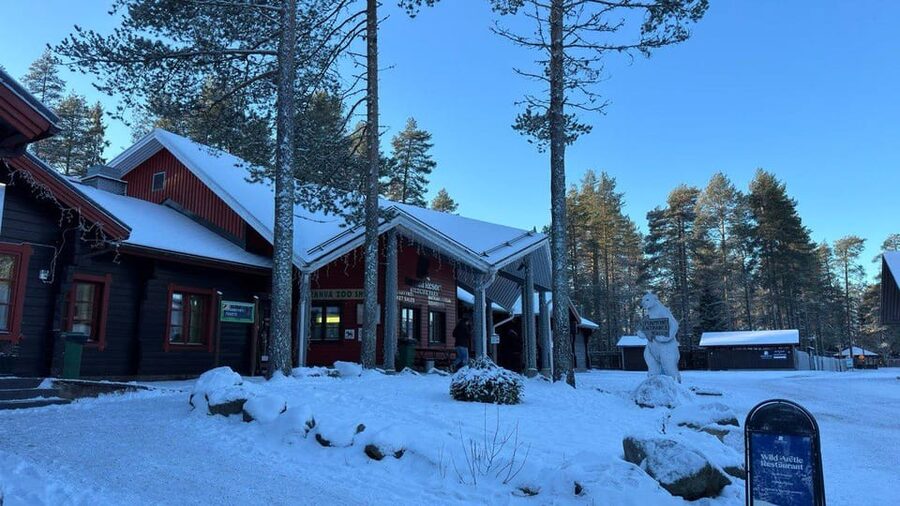 Rovaniemi: trip to the Ranua Zoo (transportation, tickets) - A good fit for families and independent explorers