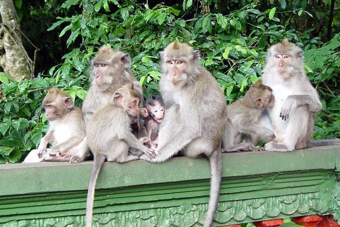 Royal Family Temple, Monkey Forest, and Tanah Lot Sunset Tour - Tanah Lot at sunset