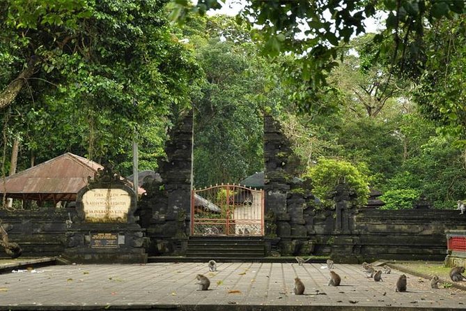Royal Family Temple, Monkey Forest, and Tanah Lot Sunset Tour - What the private format means for you