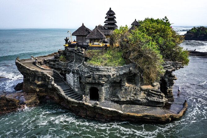 Royal Family Temple, Monkey Forest, and Tanah Lot Sunset Tour - Alas Kedaton, where the forest becomes the attraction
