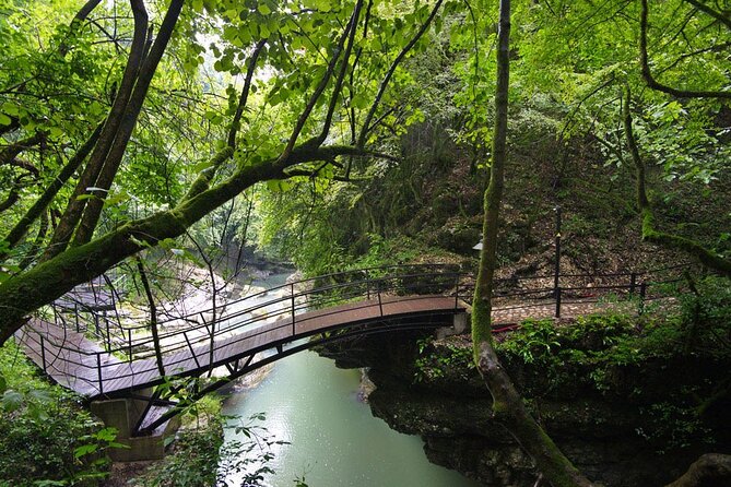 Sabaduri forest, Chronicles of Georgia, wolves and bears Zoo - Jvari Church brings the cultural weight