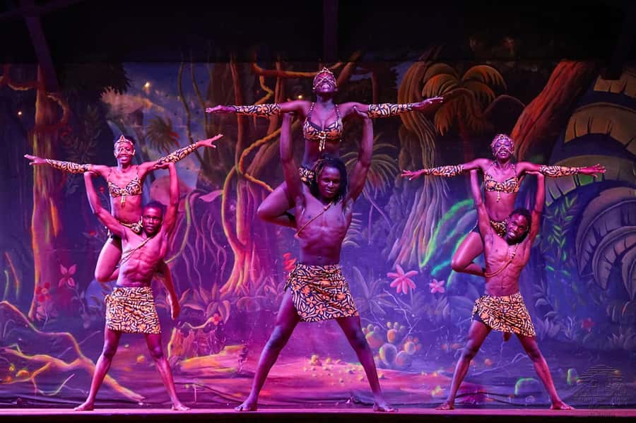 Safari Park Hotel Show & Dinner Experience In Nairobi Tour - Dinner: the detail you must settle first