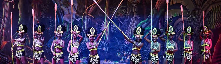 Safari Park Hotel Show & Dinner Experience In Nairobi Tour - Booking advice for a smoother night