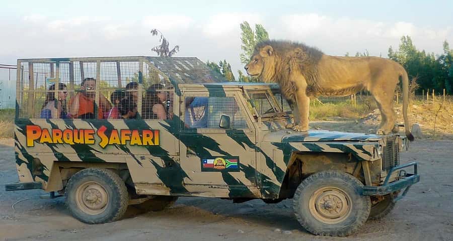 SAFARI PARK-TOUR RANCAGUA : CHILE - Key points to know before booking