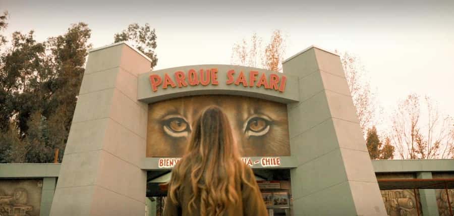 SAFARI PARK-TOUR RANCAGUA : CHILE - The morning transfer and the road to the park