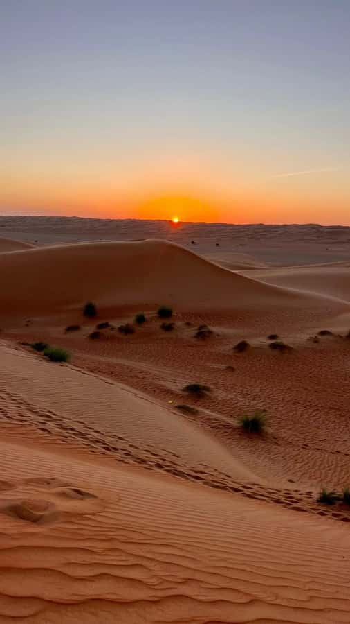 Safari World Zoo and Wahiba Sands with Sunset - Is $100 good value?