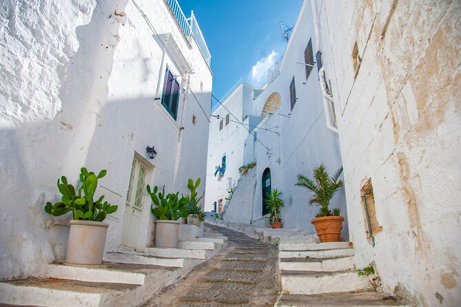 Safari Zoo Adventure and Ostuni Visit in Mini Van - A short transfer brings you to Ostuni