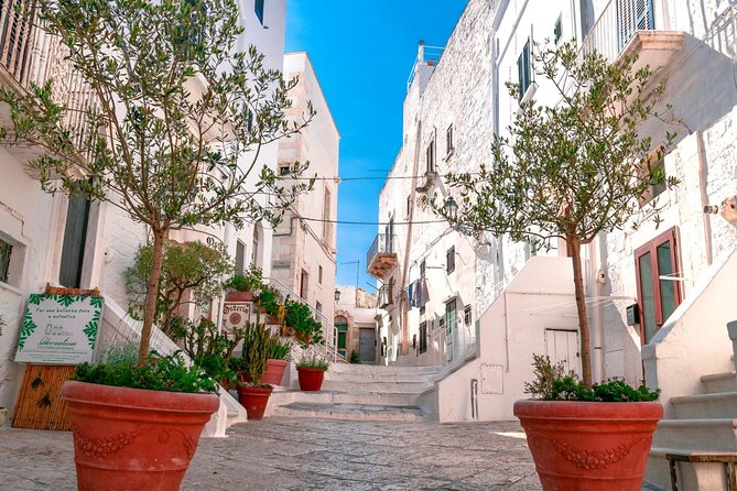 Safari Zoo Adventure and Ostuni Visit in Mini Van - Who will enjoy this Bari day trip
