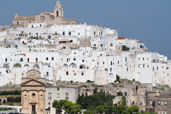 Safari Zoo Adventure and Ostuni Visit in Mini Van - Should you book Safari Zoo Adventure and Ostuni?