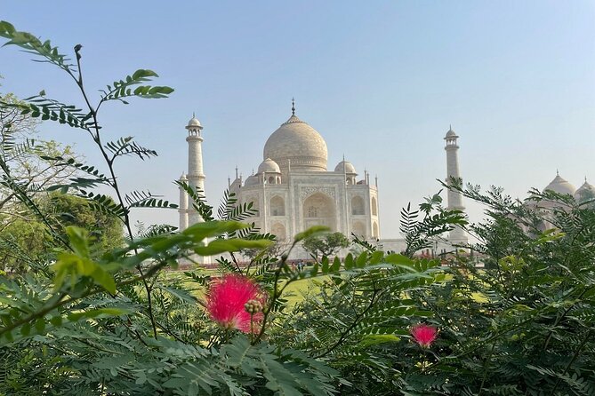Same Day Tajmahal at Sunrise and SOS wildlife sanctuary tour - Seeing the Taj Mahal before the crowds build