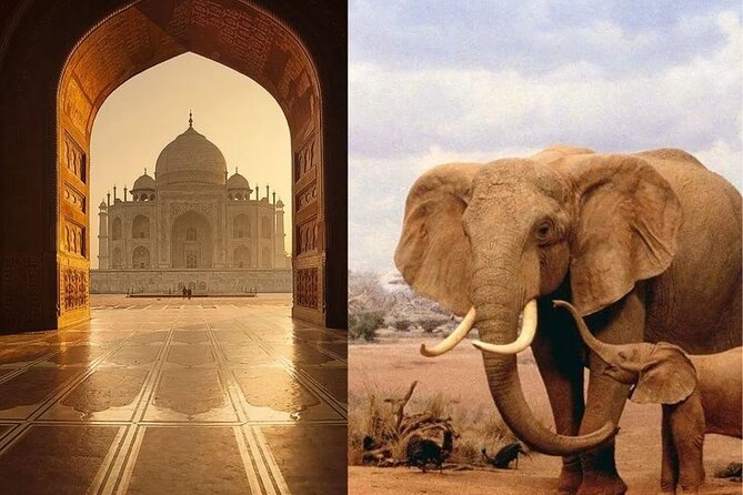 Same day Tajmahal tour with SOS Elephant/Bear wildlife Sanctuary - Two hours at the Taj Mahal