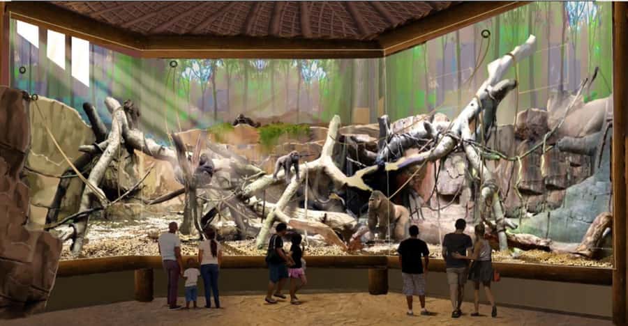 San Antonio Zoo Any Day Ticket including ZooLights - Congo Falls puts gorillas at the center