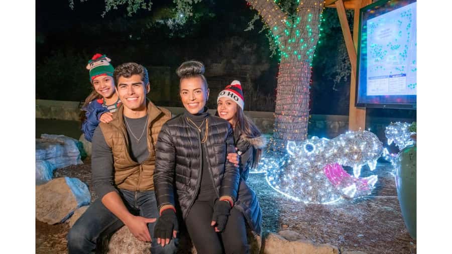 San Antonio Zoo Any Day Ticket including ZooLights - Birds, water life, and reptiles fill out the collection