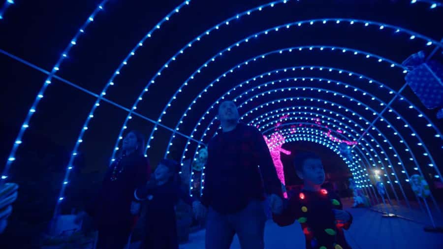 San Antonio Zoo Any Day Ticket including ZooLights - Neotropica and the wider animal collection