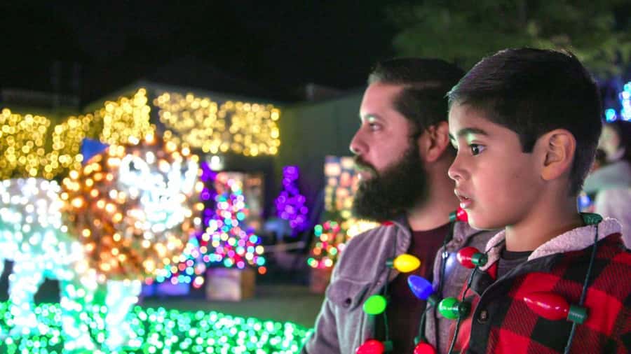 San Antonio Zoo Any Day Ticket including ZooLights - Is the $29 price good value?