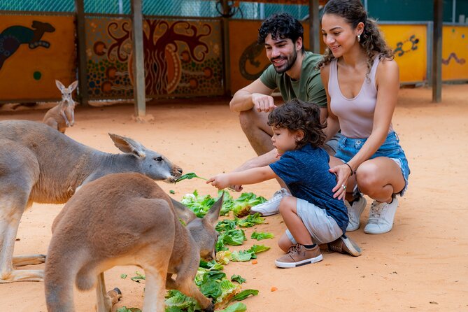 San Antonio Zoo General Admission Ticket - What your $32.99 admission covers