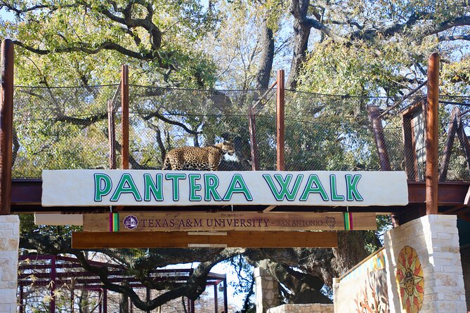 San Antonio Zoo General Admission Ticket - Gorillas, Big Cat Valley, and the zoo’s headline animals