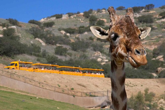 San Diego Explorer Pass: Save up to 50% - Includes San Diego Zoo - Belmont Park and the best active choices