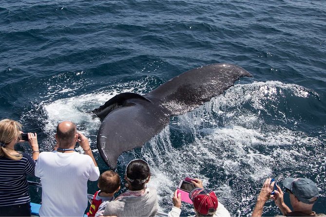 San Diego Explorer Pass: Save up to 50% - Includes San Diego Zoo - Price, planning, and common trouble spots