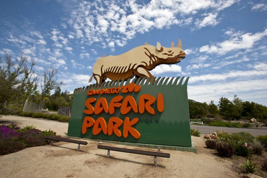 San Diego: San Diego Zoo Safari Park 1-Day Ticket - Key points to know before you go
