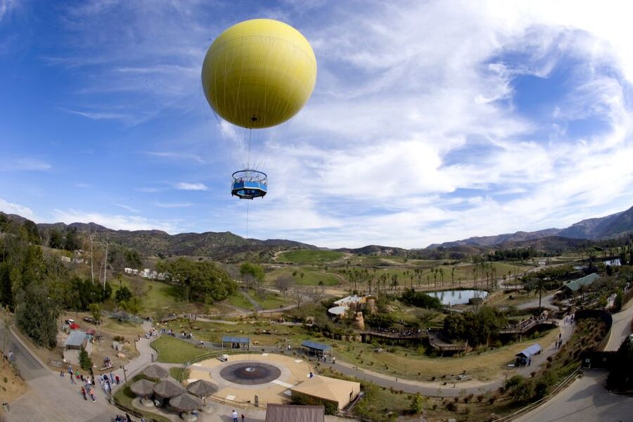 San Diego: San Diego Zoo Safari Park 1-Day Ticket - Why this feels different from a regular zoo