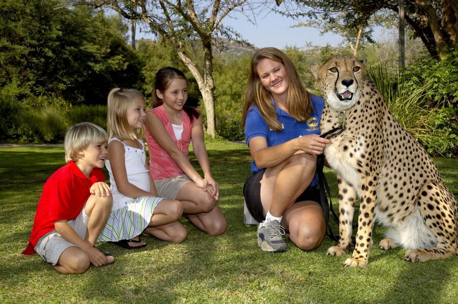 San Diego: San Diego Zoo Safari Park 1-Day Ticket - Start with the Africa Tram