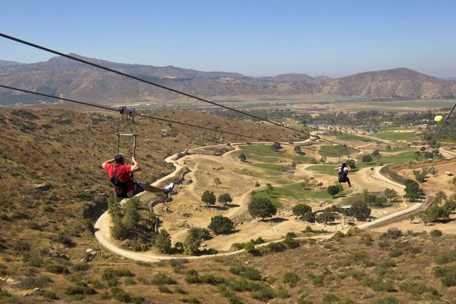 San Diego: San Diego Zoo Safari Park 1-Day Ticket - Lion Camp and the big-cat areas