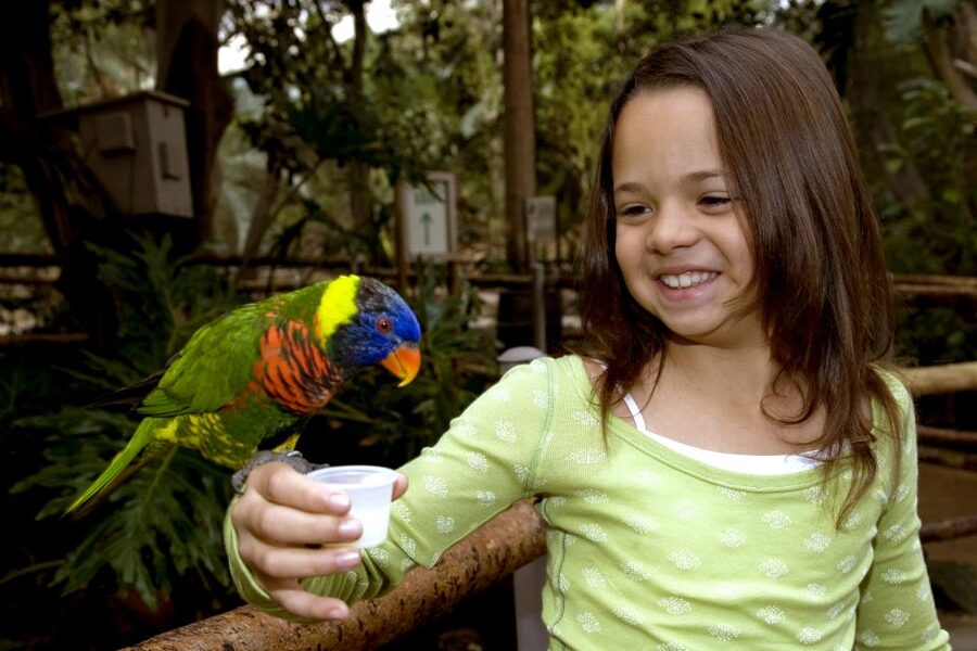 San Diego: San Diego Zoo Safari Park 1-Day Ticket - Wings of the World and Hidden Jungle