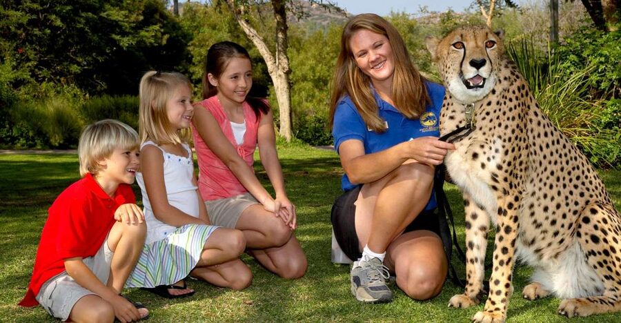 San Diego: San Diego Zoo Safari Park 1-Day Ticket - Condor Ridge and the conservation story