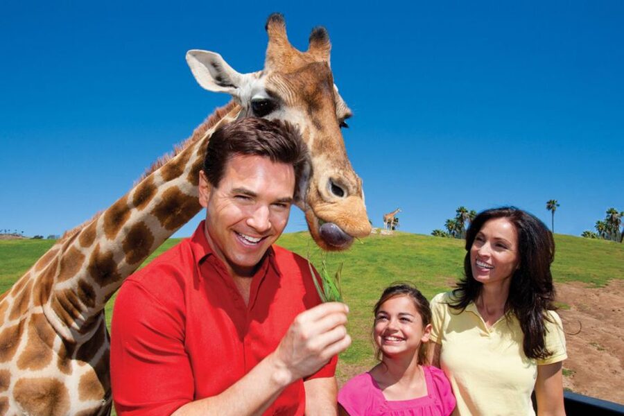 San Diego: San Diego Zoo Safari Park 1-Day Ticket - Getting there from San Diego