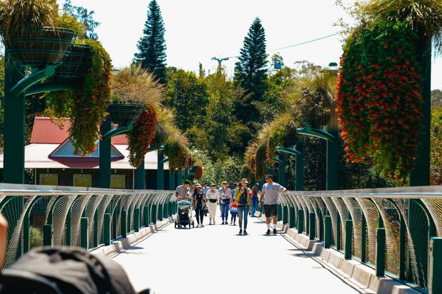 San Diego Zoo: 1-Day Admission Ticket - The sea lion show adds a scheduled break
