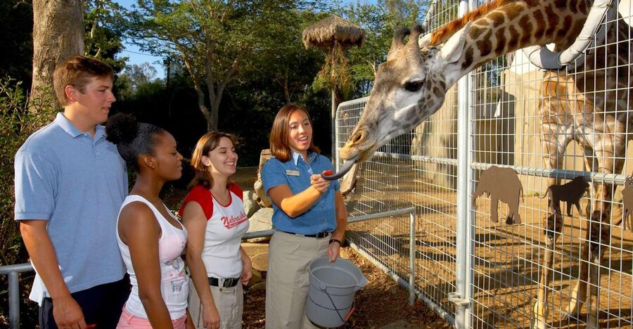 San Diego Zoo: 1-Day Admission Ticket - Why San Diego Zoo takes a full day