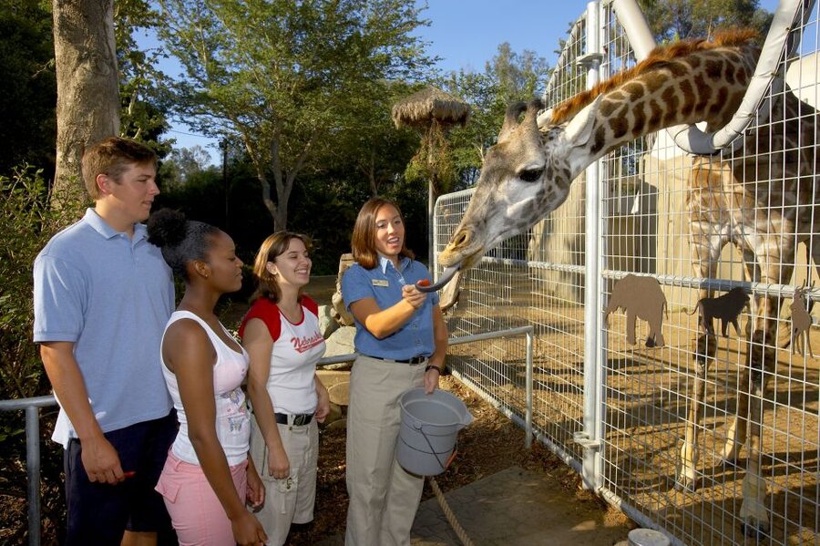 San Diego Zoo: 1-Day Admission Ticket - The guided bus tour is the best first move