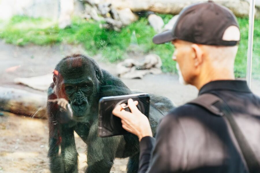 San Diego Zoo: 1-Day Admission Ticket - Elephant Odyssey combines animals and museum displays