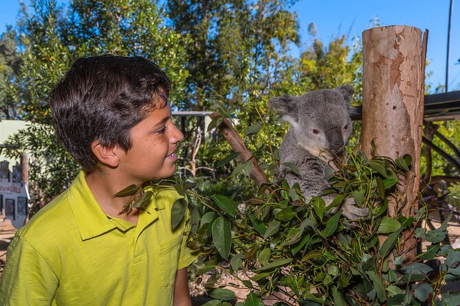 San Diego Zoo 1-Day Pass: Any Day Ticket - Walking, hills, heat, and accessibility