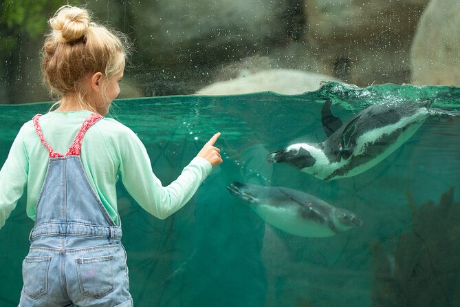 San Diego Zoo 1-Day Pass: Any Day Ticket - Mobile entry and a few practical snags