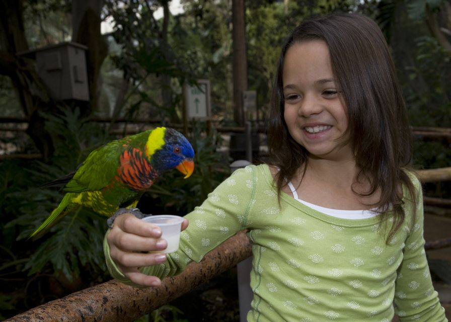 San Diego Zoo and Safari Park: 2-Day Entry Ticket - Polar bears, elephants, tigers, and more
