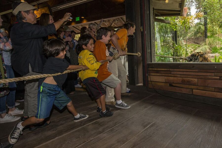 San Diego Zoo and Safari Park: 2-Day Entry Ticket - Safari Park: the ticket’s most unusual second day