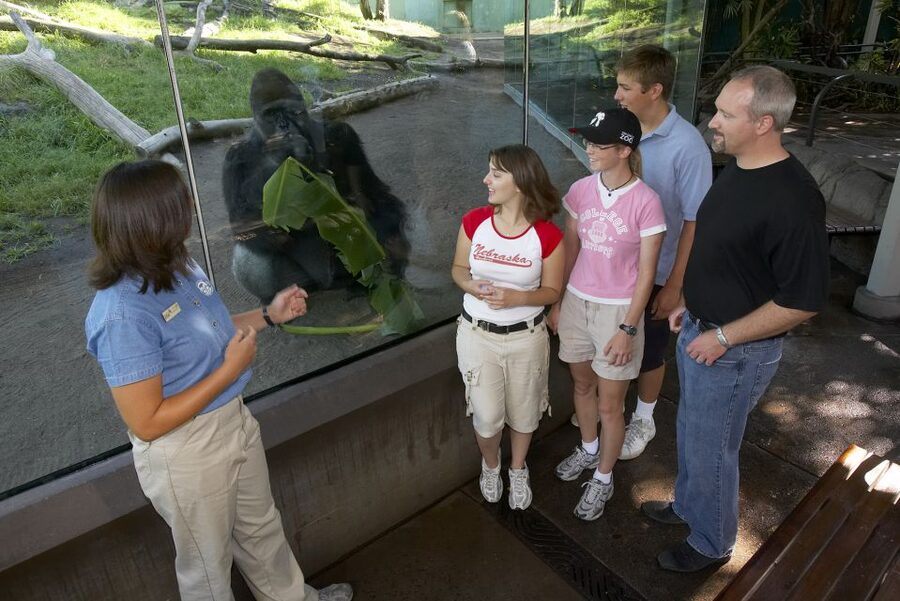 San Diego Zoo and Safari Park 2-Day Entry Ticket - Is $130 good value?