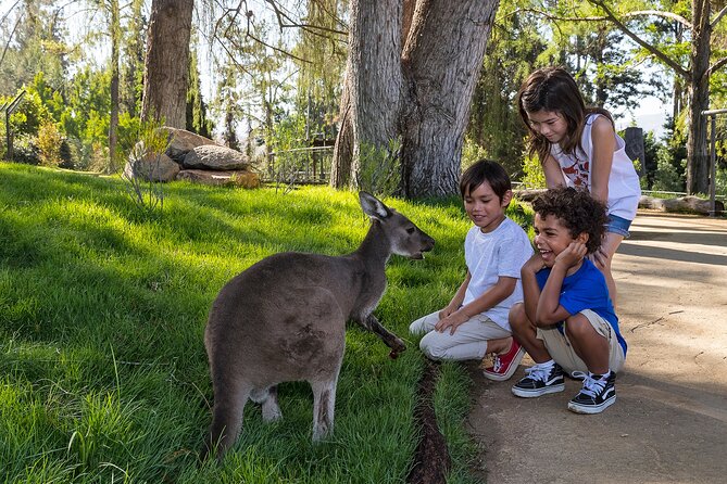 San Diego Zoo and Safari Park 2-Visit Pass Ticket - Two parks, two different kinds of animal day