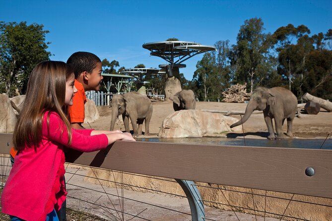 San Diego Zoo and Safari Park 2-Visit Pass Ticket - Walking, weather, and access