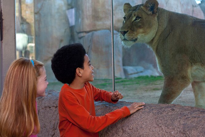 San Diego Zoo Safari Park 1-Day Pass: Any Day Ticket - Getting There From San Diego